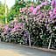 Siam Villa Suvarnabhumi