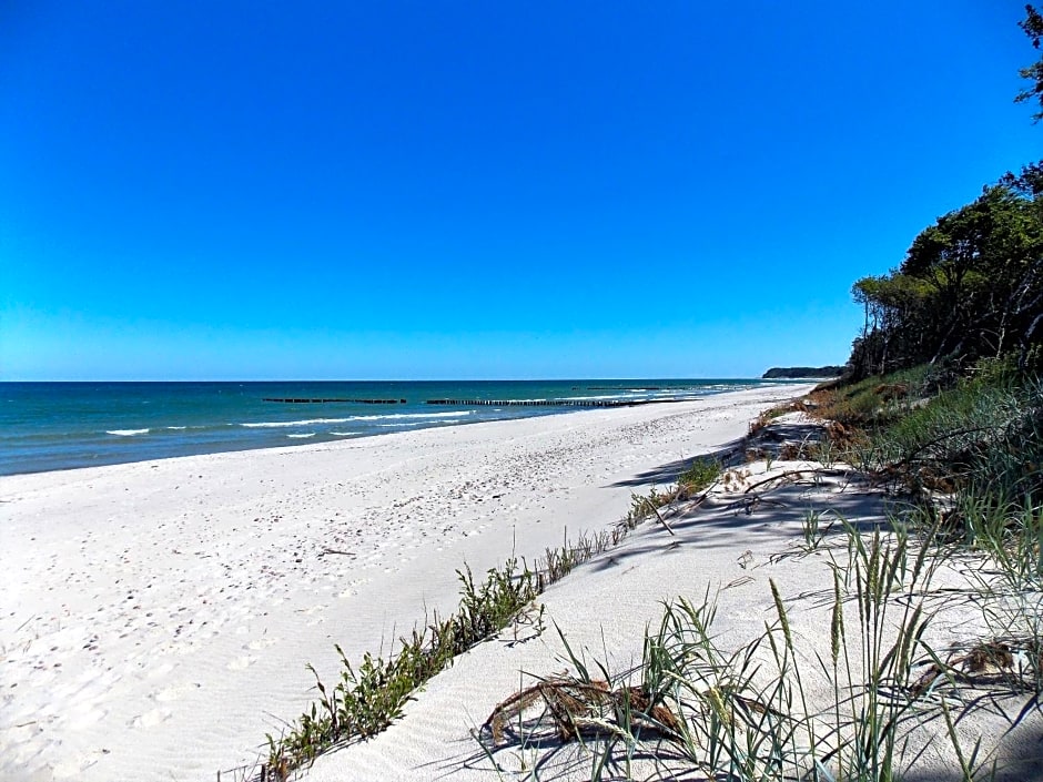 Pokoje goscinne Neptunia