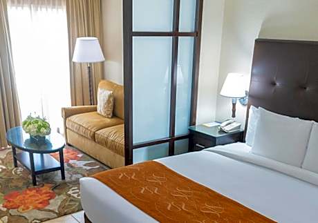 Standard Room with King Bed - Non-Smoking