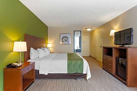 King Room - Non-Smoking