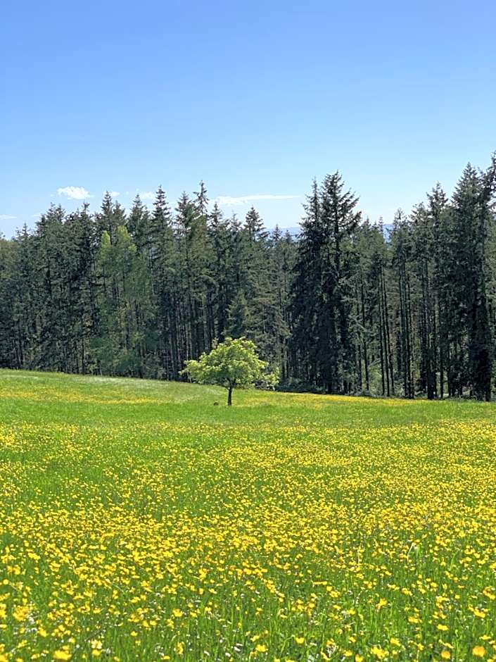 Albergo Villa San Michele