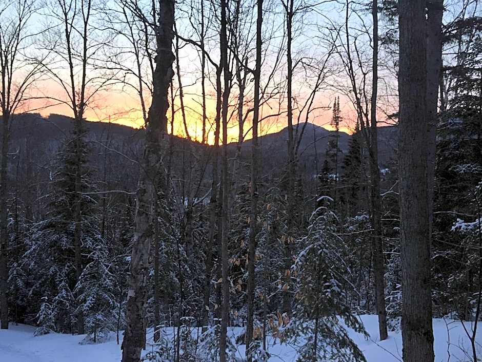 Loft Nature Laurentides