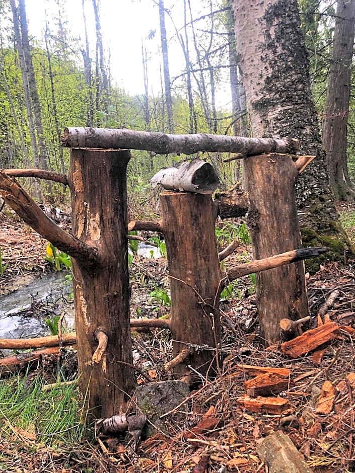 Idyllic Cabin Retreat Only 5 Minutes Away From Nelson