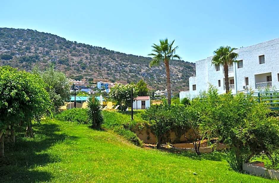 Niko Elen, Adults Only