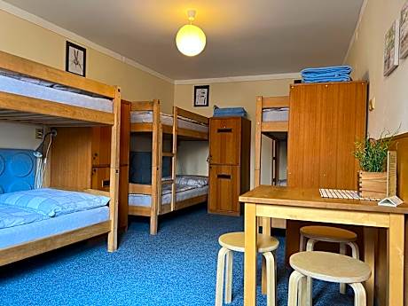 Bed in 6-Bed Mixed Dormitory Room