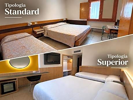 Double or Twin Room