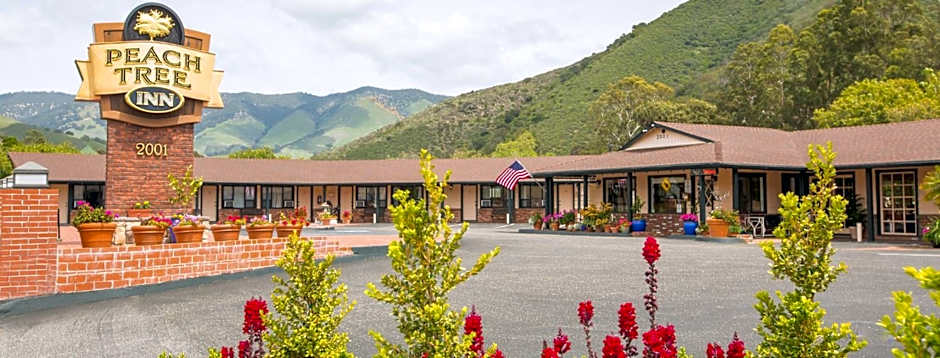 Peach Tree Inn