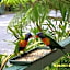 Mallacoota's Shady Gully Caravan Park