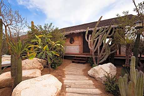 El Perdido Desert Dream- Todos Santos Adults Only