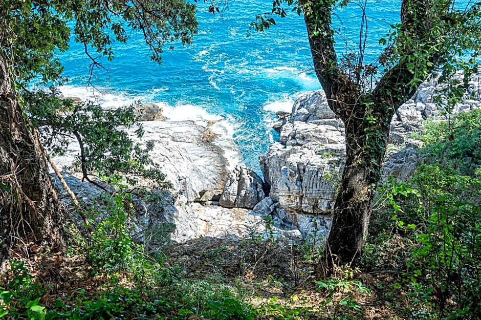 SunRiseStudiosPapanero