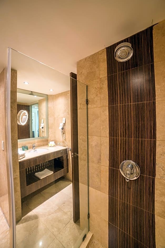 Holiday Inn Guadalajara Select By IHG