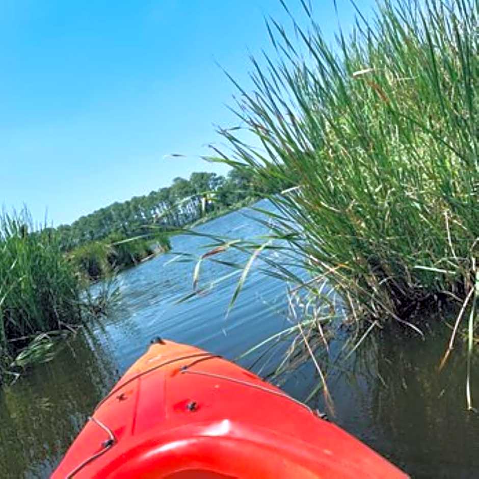 Comfort Inn & Suites Cambridge