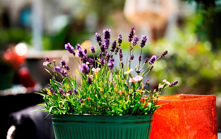 Relais & Châteaux Landhaus Stricker