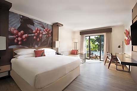 Ground Floor King Room with Pool View