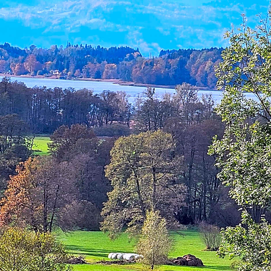 Der Blankhof "Back to Roots"