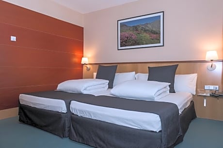 DOUBLE ROOM FOR SINGLE USE (1 ADULT)