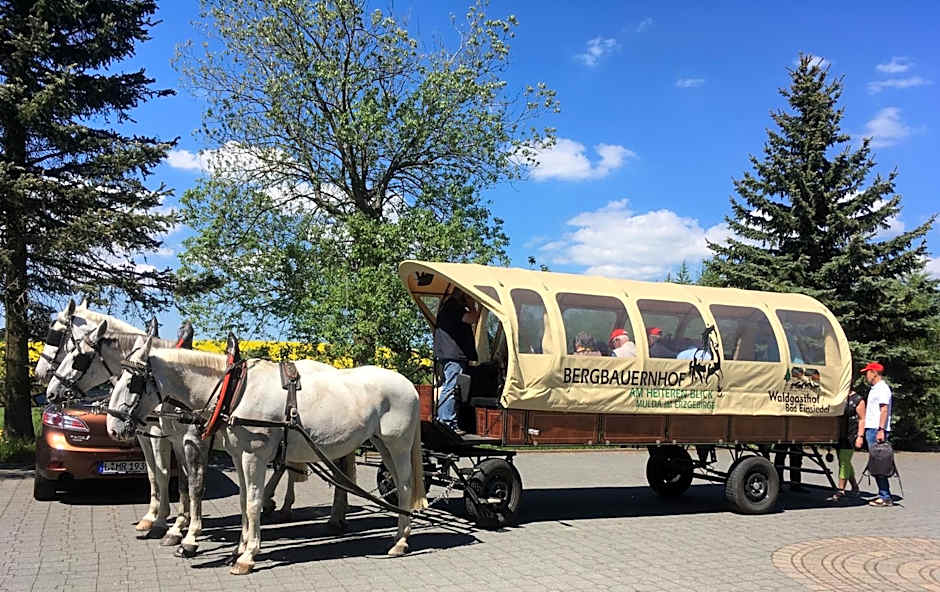 Hotel Dachsbaude & Kammbaude