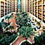 Four Points by Sheraton Suites Tampa Airport Westshore