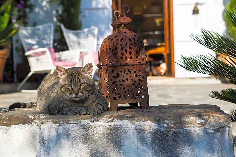 La Almunia del Valle