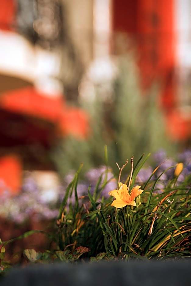 Szőnyi Garden Hotel Pest