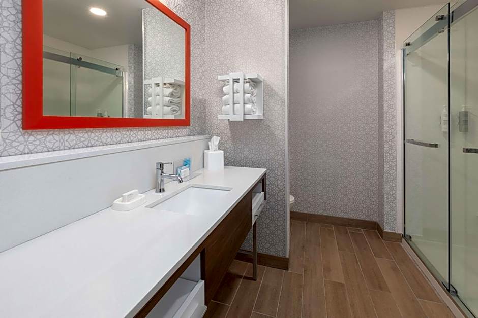 Hampton Inn By Hilton And Suites Saginaw