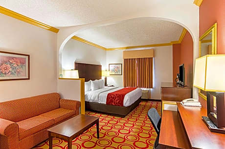 1 King Bed, Suite, Nonsmoking