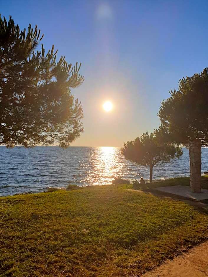 Family Bungalow Pineta