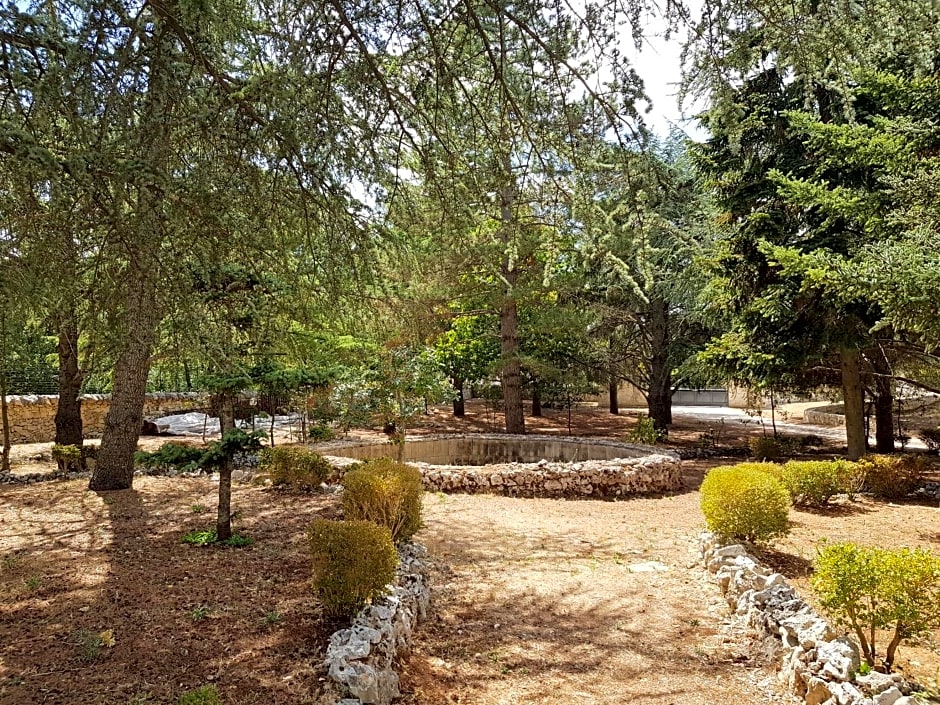 Villa Venus Woods – Martina Franca, OK