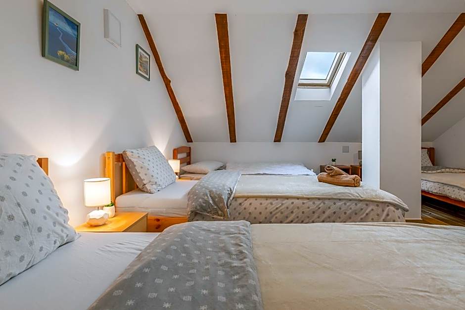 SOKOL - Secret forest house