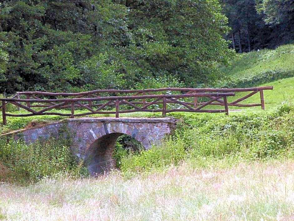 Schönblick - gemütlich übernachten!