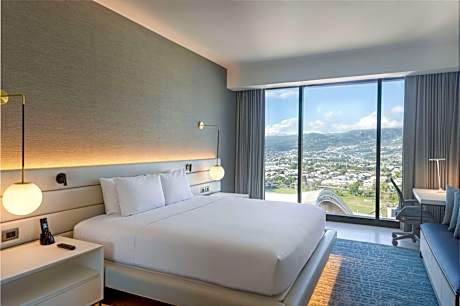 One-Bedroom King Suite