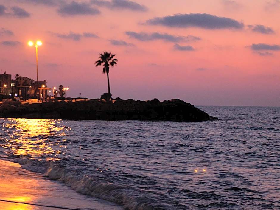 Dan Panorama Haifa Hotel