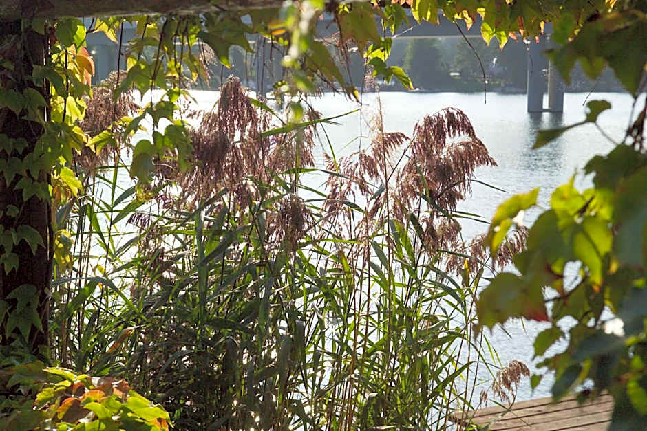 Strandhotel Alte Donau