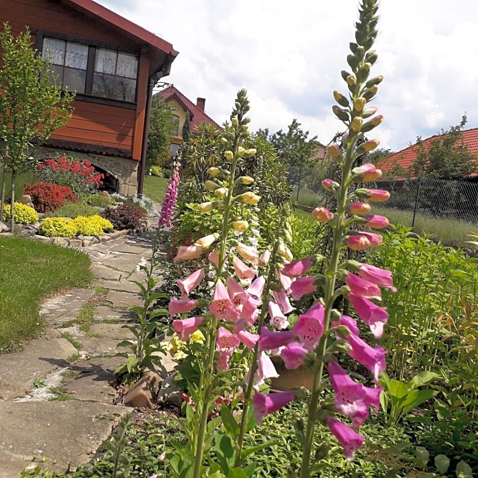 Dom wakacyjny Podlas