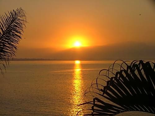 Jardin Del Mar