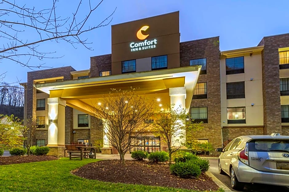 Comfort Inn & Suites Pittsburgh