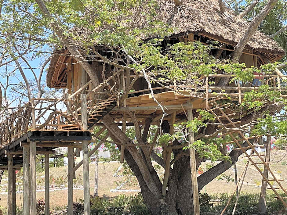 Antonio Beach Tree House Hotel & Spa
