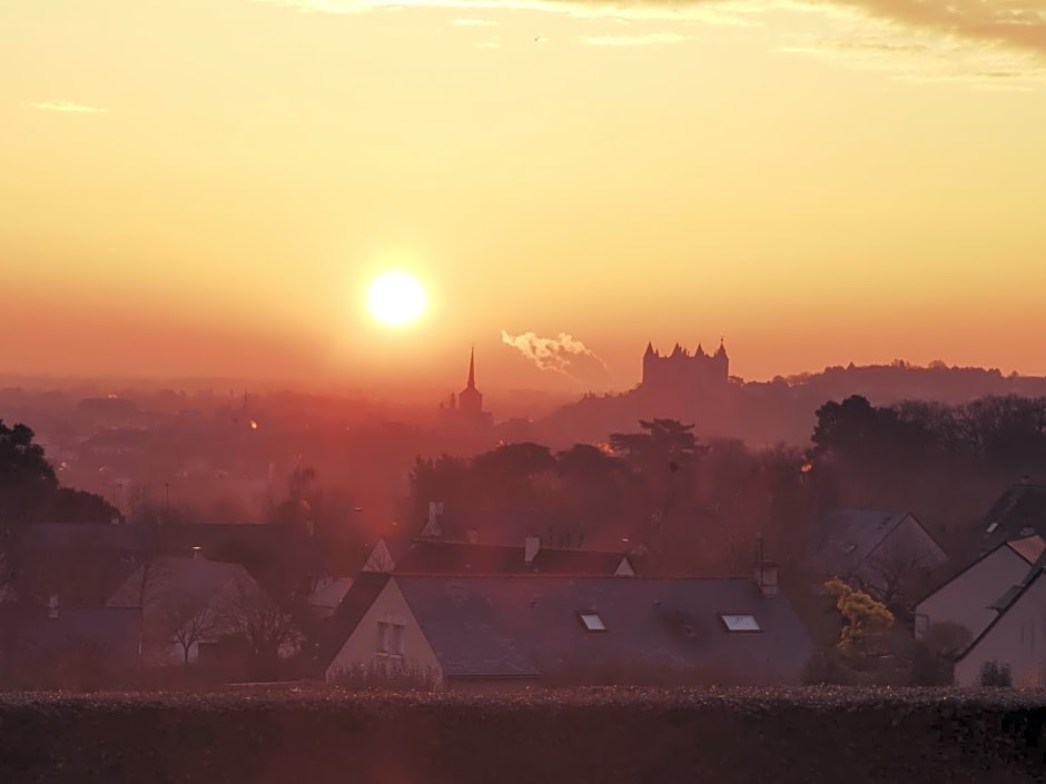 Les Terrasses de Saumur - Hotel & Appartements - Restaurant & Spa (Logis)