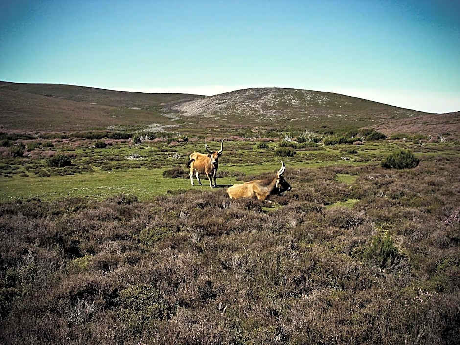 Hotel Castrum Villae - Walk Hotels