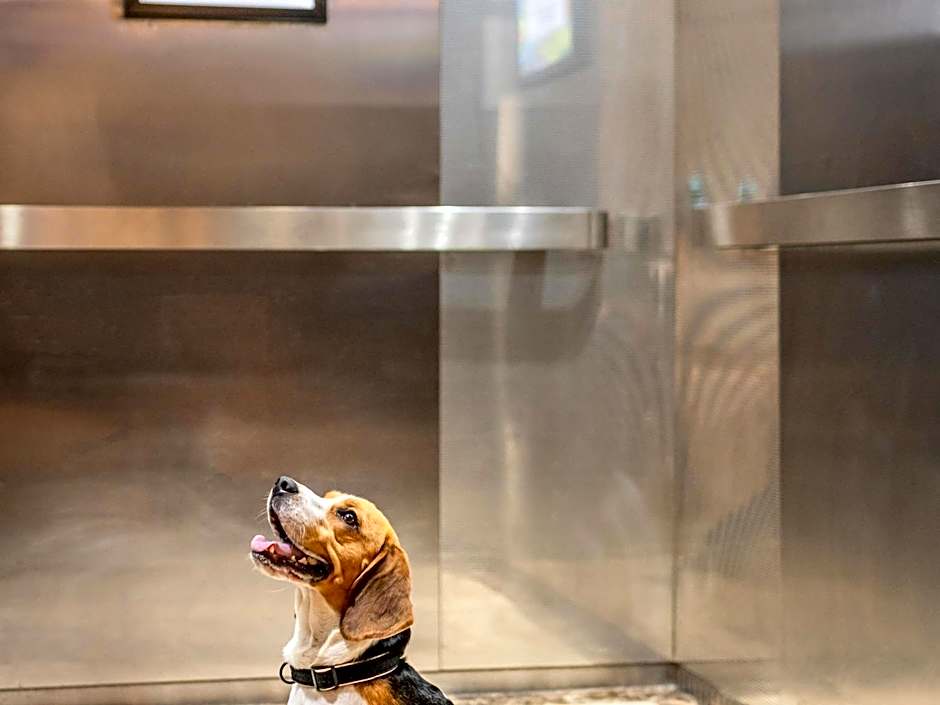 Ibis Nuernberg Hauptbahnhof