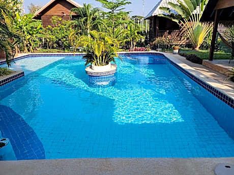 Mister check paradise  