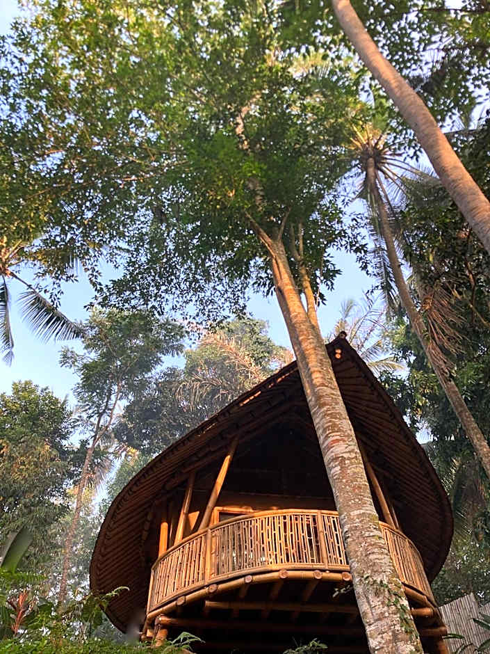 Bamboo Turtles Ecolodge