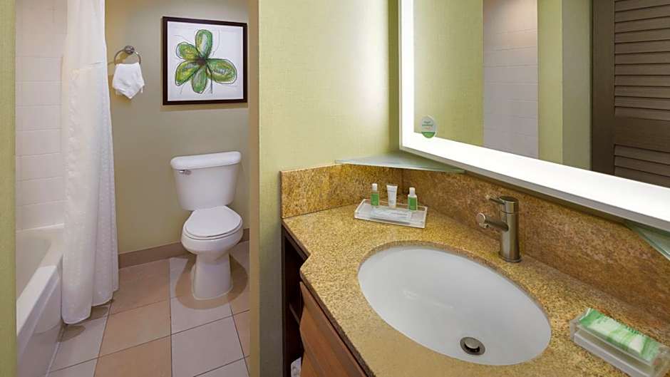 Holiday Inn San Jose - Silicon Valley By IHG