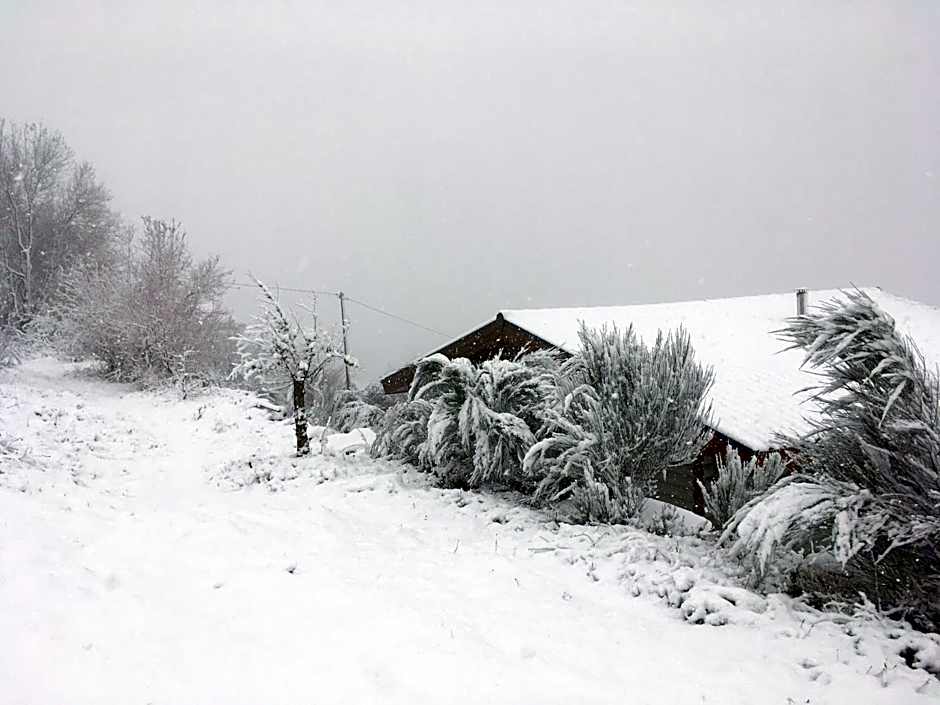 Mountain Log Cabin O Lobo