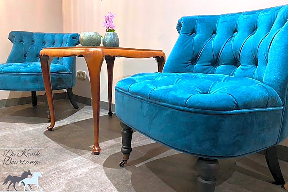 B&B De Konik Bourtange