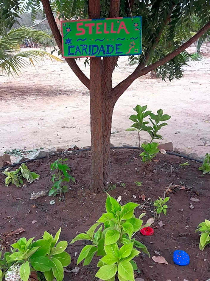 Chalé com Vista Privilegiada