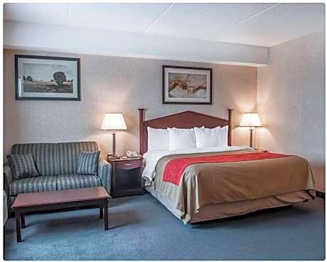 1 Queen Bed Nonsmoking Accessible