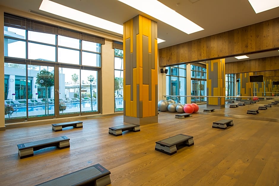 Acanthus and Cennet Barut Collectio