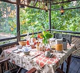 Pugdundee safaris - Tree House Hideaway