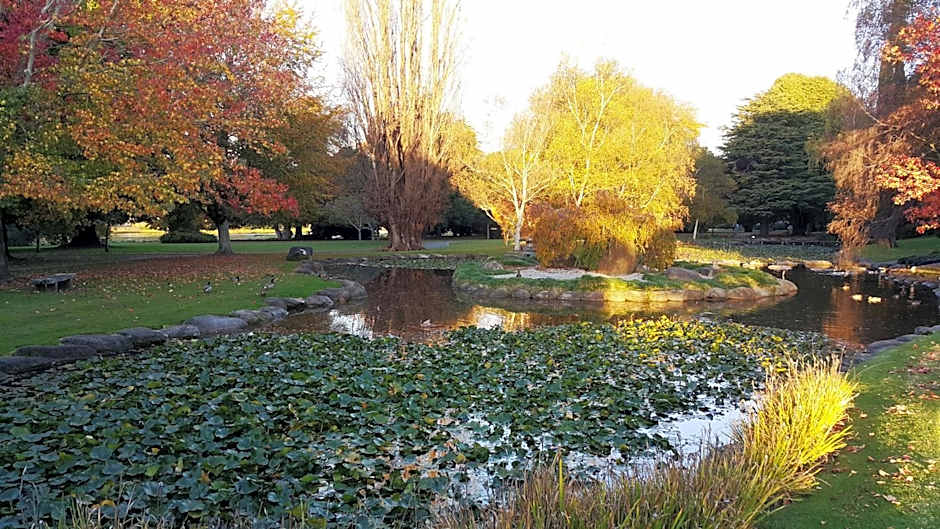 Bella Vista Gisborne